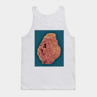 Kidney stone, SEM (C031/9839) Tank Top